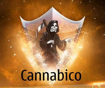player de cod aw(ps3)