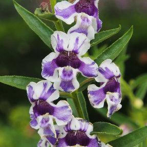 KirstieFalkner's profile picture. Say something about a thing and already you are off the mark.- Nan-Yueh Huai-Jang