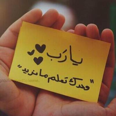 vipp350's profile picture. ⛱