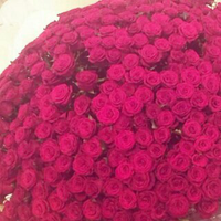 شوش (@_shoosh_09) 's Twitter Profile