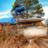 kalvin_withak's profile image