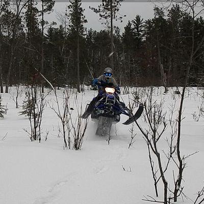 ZiggyChristian's profile picture. 