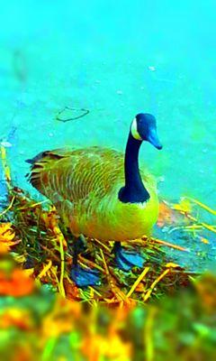 NickJackson2002's profile picture. 