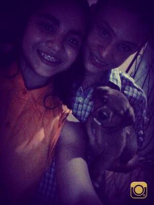 anitamorenooo1's profile picture. me encanta la gimnacia✌,la music,soy muy sociable.,me gusta cantar y divertirme mucho con mia amigas y amigos me encantan los perros pastores alemanes,y soy m