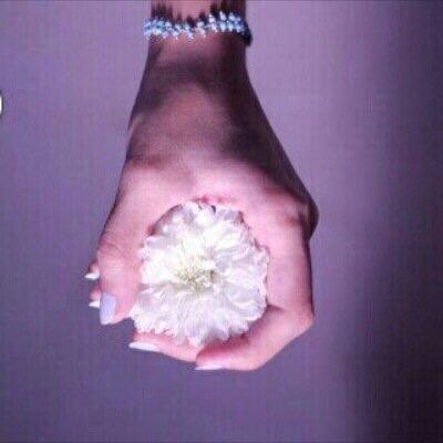 Luli_alshreef's profile picture. Like any girls ...