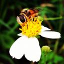 howard rollins - @periodicmoos30 - Twitter