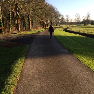 figgisjane's profile picture. garden designer and writer, garden consultant to the Hurlingham Club, my opinions are mine alone but im not a fan of grasses or rain or slipperyness.