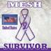 Mesh Problems (@mesh_problems) Twitter profile photo