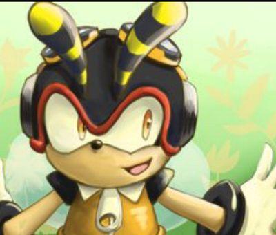 I'm just a very cheerful,over energetic bee called charmy!I often play tricks on my friends!I take everything literally and I'm very naive!we're with you guys!
