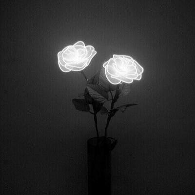 @floralwalls