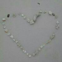 Lynn Johnson (@lynnmarie913) 's Twitter Profile Photo Lynn Johnson (@lynnmarie913) 's Twitter Profile Photo