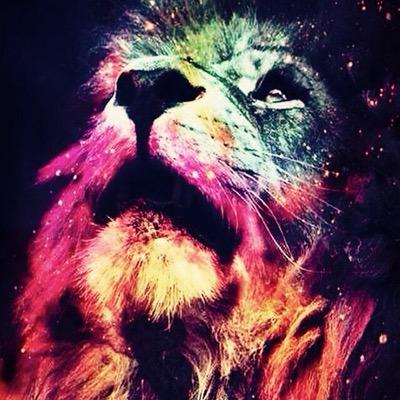 StefanoOo4's profile picture. 