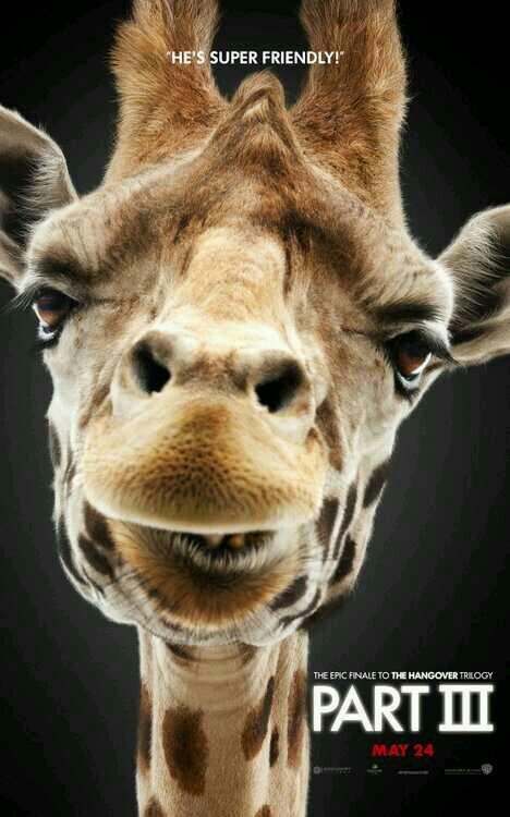 rezaahmadzs's profile picture. 