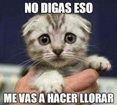 22_xexu's profile picture. 