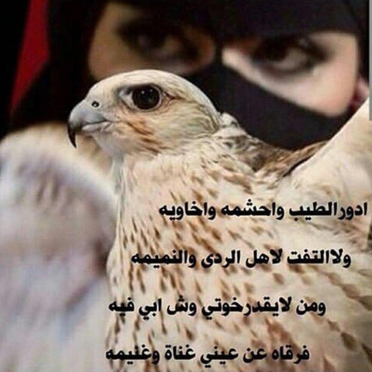 عيوني بني سالم وقلبي بني مسروح سﻻطين حرب اللي تشرف مواقفها. (الخاص ممنوع)