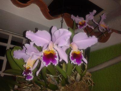 La belleza de la  naturaleza es gracias al maravilloso mundo de Dios ♡