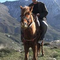 Abbod🏇🏇 (@abbod_alfahil) 's Twitter Profile Photo