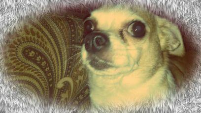 danadeloach18's profile picture. 