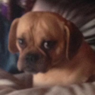 RadunsC's profile picture. 