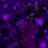 AriaDelixClub2's profile image
