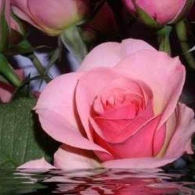 __: يارب. .كما جعلت كل نبضة تزيدني عمرا ف أجعلها تزيدني لك قرباً !!