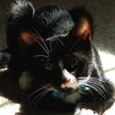 Donna Shine - @sundayboots25 - Twitter