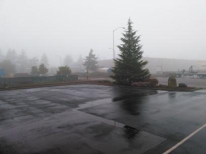 pnwterritories's profile picture. 
