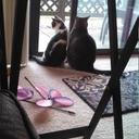 Kendra Stauffer - @Kendra5258 - Twitter