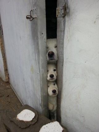 hong3_8's profile picture. 