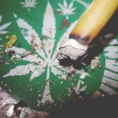 tweet de stoner d'une stoner ✌️ 
french tweet