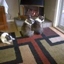 barbara munn - @mollymaxx - Twitter