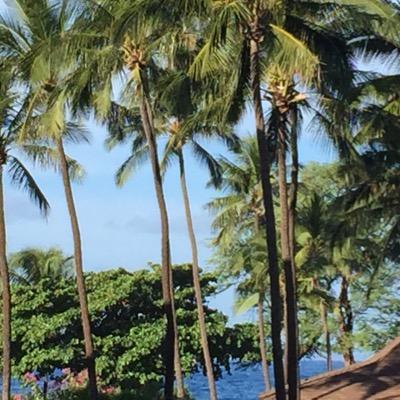 ShelleyKinash's profile picture. 