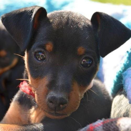 GrardThomas2's profile picture. 