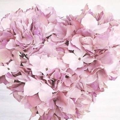 عن الدنياراحلون،،ولأهلهاتاركون،،فلا والدٌينفع ولده ولاولدٌينفع والده،،كلٌ مقرونٌ بعمله،،ربناانناأمنافاغفرلناوارحمناوأنت خيرالراحمين،،وأحسن خاتمتناوتوفنامسلمين