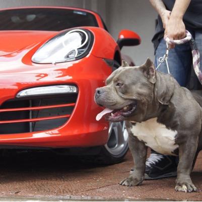 HoLexani's profile picture. 