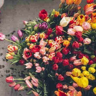 When everything is falling apart, there's no reason to fall with it.- emilydawn