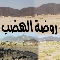 روضة الهضب (@ridaan4) 's Twitter Profile