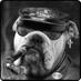 Pubs Beer & More (@beerbyray) Twitter profile photo
