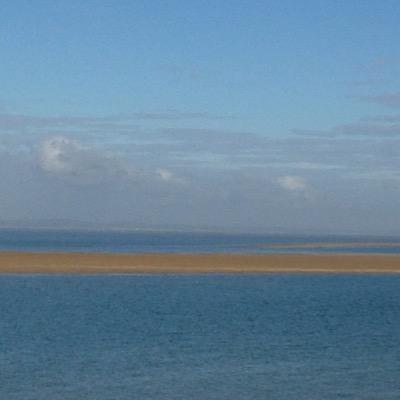 chambanie's profile picture. 