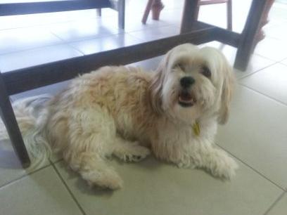 ZombieGamer7421's profile picture. 