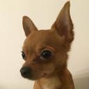 Berry Lana - @BerryLana1 - Twitter