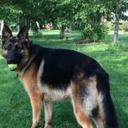 Achilles - @BryanSinclair6 - Twitter