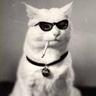 snzro's profile picture. it | art | music | wous? 
bureau  of multidisciplinary failure