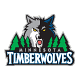DidTheWolvesWin Profile Picture