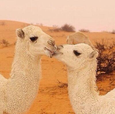 anmmnan21's profile picture. 