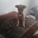 Christy Kirkpatrick  - @seansboo88 - Twitter