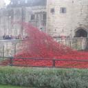 Ralph Oakley - @Ralley49 - Twitter