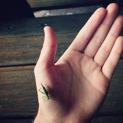 davidibanezgg's profile picture. 