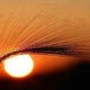 ali maher - @Abuniizaar - Twitter