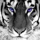 James genz - @JamesGenz - Twitter